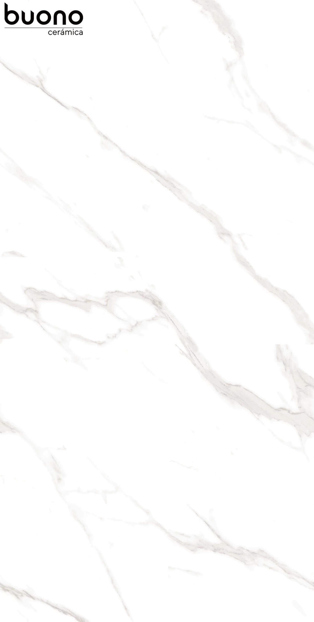 M4401P Carrara Livia Glossy 1200x600 